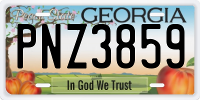 GA license plate PNZ3859