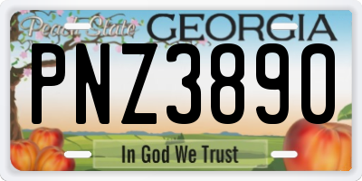 GA license plate PNZ3890