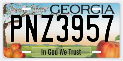 GA license plate PNZ3957