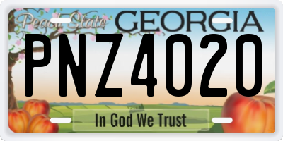 GA license plate PNZ4020