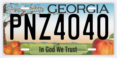 GA license plate PNZ4040