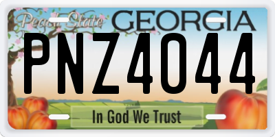 GA license plate PNZ4044