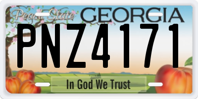 GA license plate PNZ4171