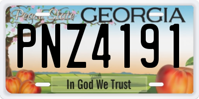 GA license plate PNZ4191