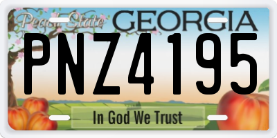 GA license plate PNZ4195