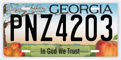 GA license plate PNZ4203