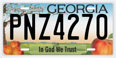 GA license plate PNZ4270