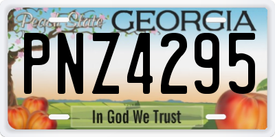 GA license plate PNZ4295