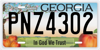 GA license plate PNZ4302