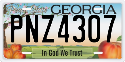 GA license plate PNZ4307