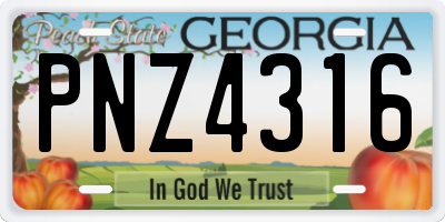 GA license plate PNZ4316