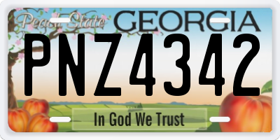 GA license plate PNZ4342
