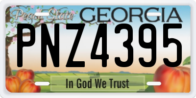 GA license plate PNZ4395