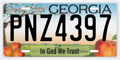 GA license plate PNZ4397