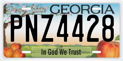 GA license plate PNZ4428