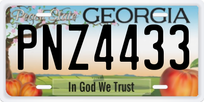 GA license plate PNZ4433