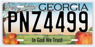 GA license plate PNZ4499