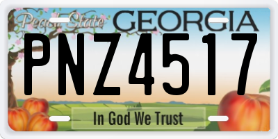 GA license plate PNZ4517