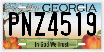 GA license plate PNZ4519