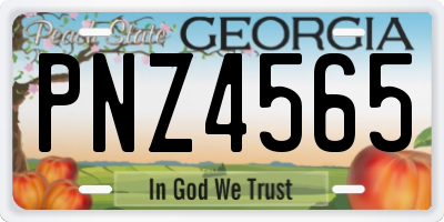 GA license plate PNZ4565