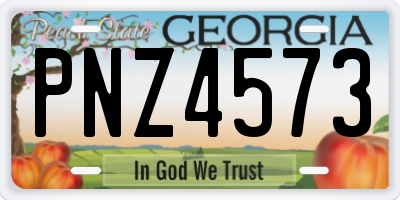 GA license plate PNZ4573