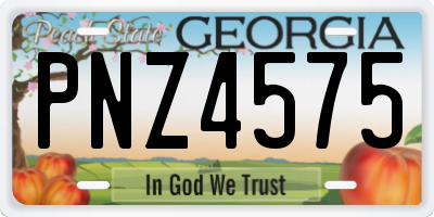 GA license plate PNZ4575
