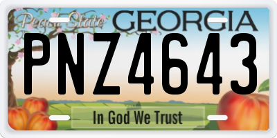 GA license plate PNZ4643