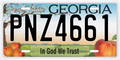 GA license plate PNZ4661