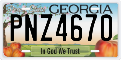 GA license plate PNZ4670