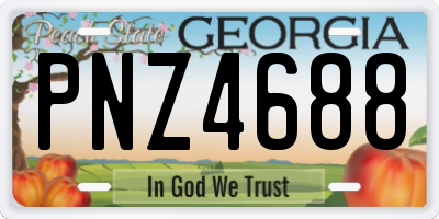 GA license plate PNZ4688