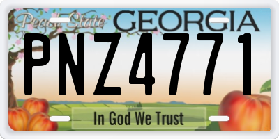 GA license plate PNZ4771