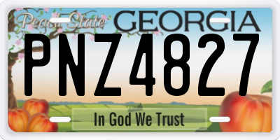 GA license plate PNZ4827