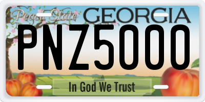 GA license plate PNZ5000