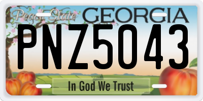 GA license plate PNZ5043