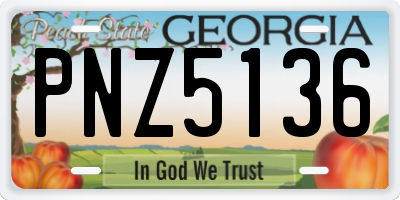 GA license plate PNZ5136