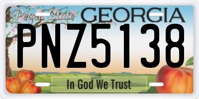 GA license plate PNZ5138