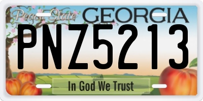 GA license plate PNZ5213