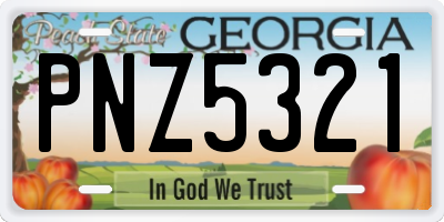 GA license plate PNZ5321