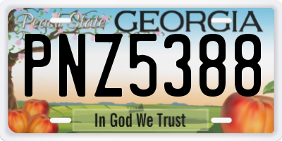 GA license plate PNZ5388