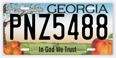 GA license plate PNZ5488