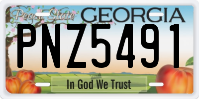 GA license plate PNZ5491