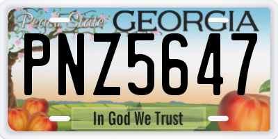 GA license plate PNZ5647