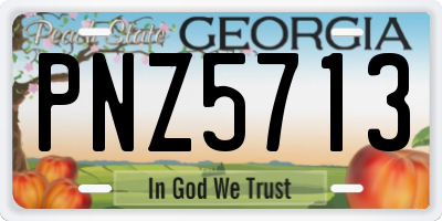 GA license plate PNZ5713