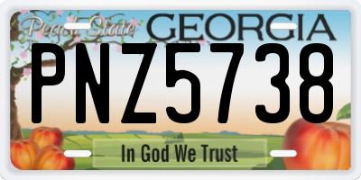 GA license plate PNZ5738