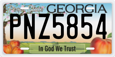 GA license plate PNZ5854