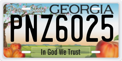 GA license plate PNZ6025