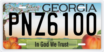 GA license plate PNZ6100