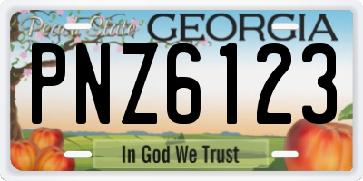 GA license plate PNZ6123