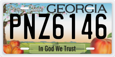 GA license plate PNZ6146