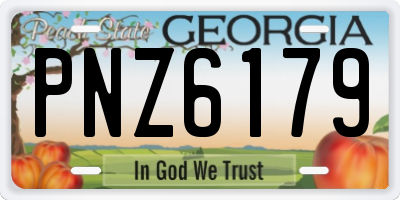GA license plate PNZ6179